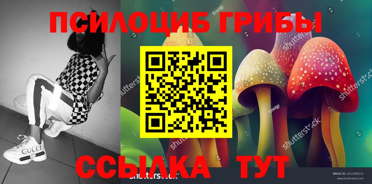 Галлюциногенные грибы MAGIC MUSHROOMS  Вход с VPN  Тулун  Галлюциногенные грибы GOLDEN TEACHER 